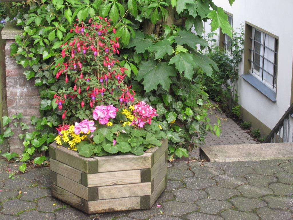 Heidi'S Art Hotel Arnsberg Exterior photo